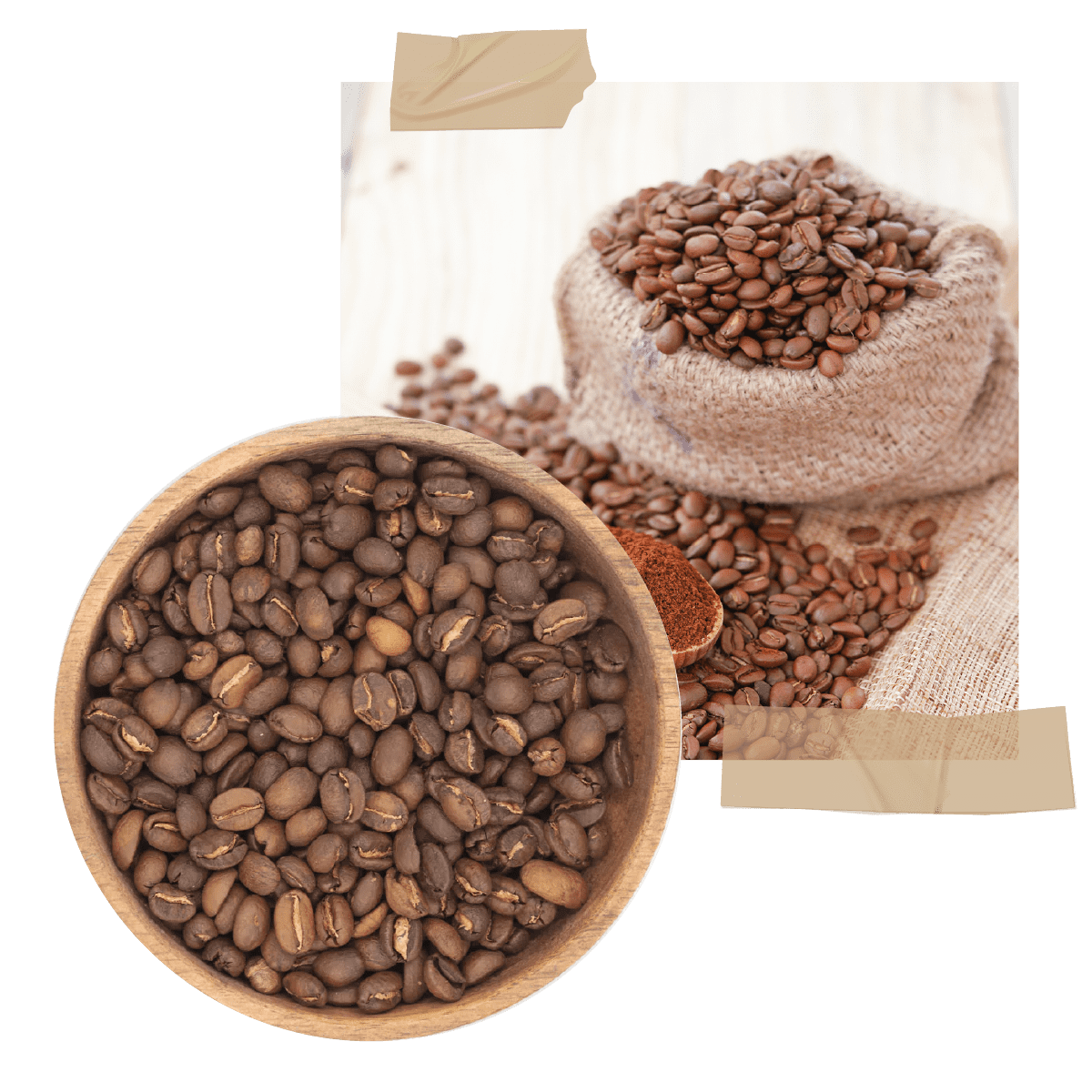 Café Oaxaca en Grano - 1 kg